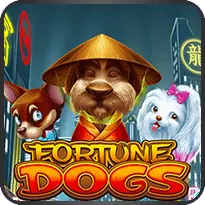 FORTUNE DOGS